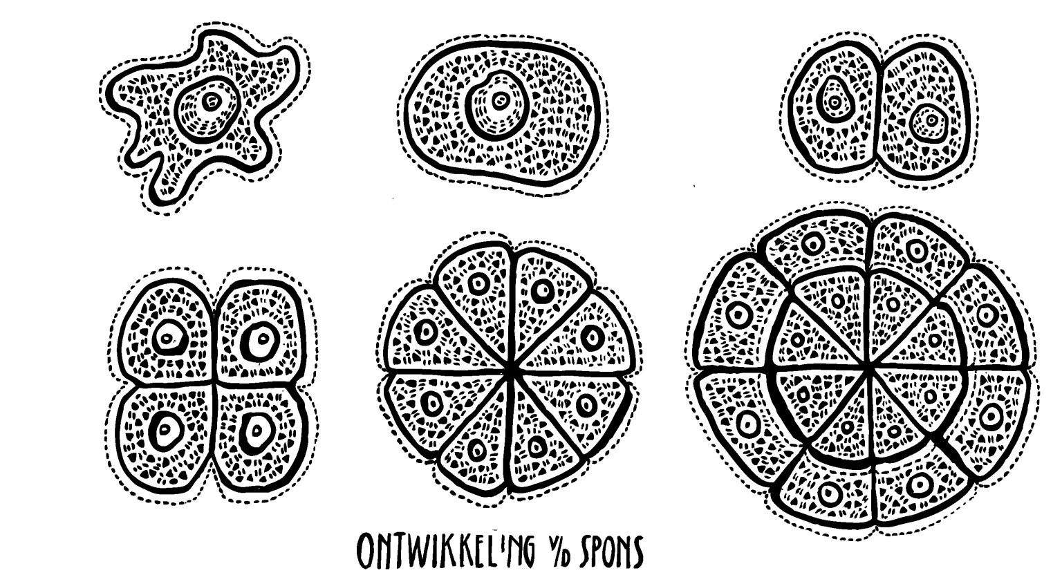 Het Raadsel van Alles wat Leeft - Floor Rieder